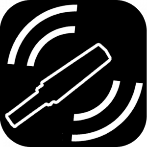 Professional Security Detector Icon